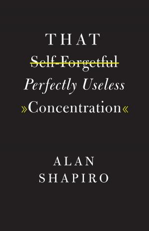 Cover of the book That Self-Forgetful Perfectly Useless Concentration by Jason Ananda Josephson