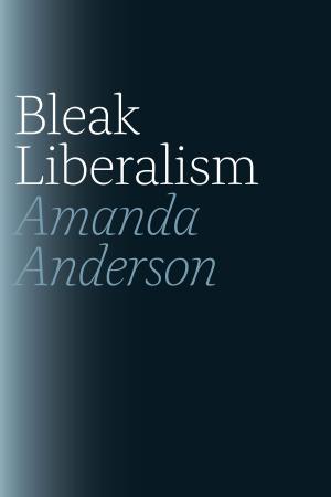 Cover of the book Bleak Liberalism by Paul Scott