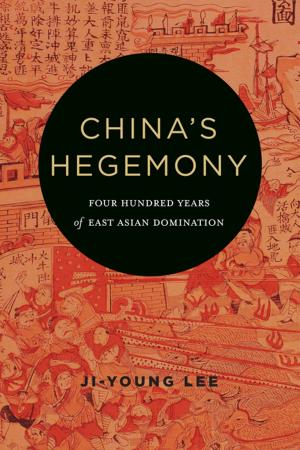 Cover of the book China's Hegemony by Rosi Braidotti