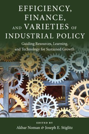 Cover of the book Efficiency, Finance, and Varieties of Industrial Policy by Dorothea von Mücke