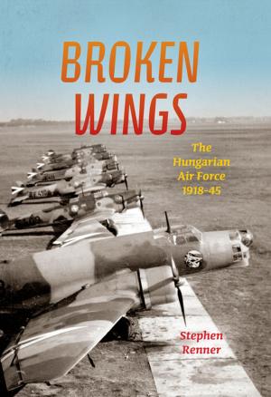 Cover of the book Broken Wings by David Farrell Krell