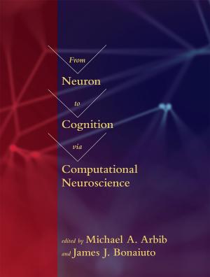 Book cover of From Neuron to Cognition via Computational Neuroscience