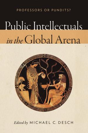 Cover of Public Intellectuals in the Global Arena