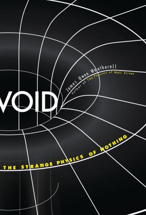 Cover of the book Void by Mr Caleb Crain