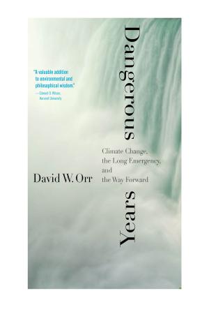 Cover of the book Dangerous Years by Associate Prof Elizabeth Lunbeck, Dr. Bennett Simon, M.D.