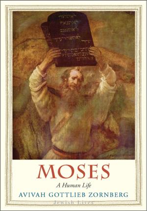 Cover of the book Moses by Nancy Ellen Abrams, Joel R. Primack