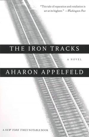 Cover of the book The Iron Tracks by Isabel Allende