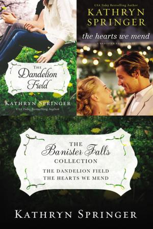 Book cover of The Banister Falls Collection