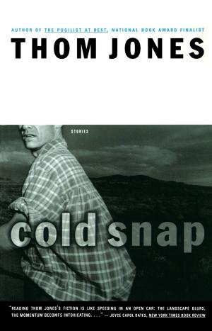 Cover of the book Cold Snap by James Patterson, Michael Ledwidge