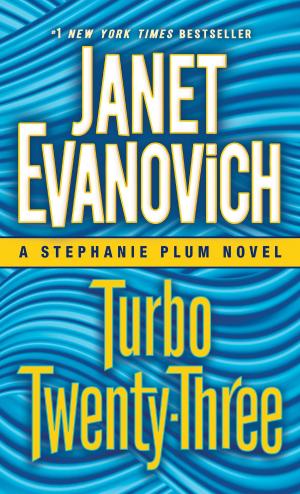 Book cover of Turbo Twenty-Three