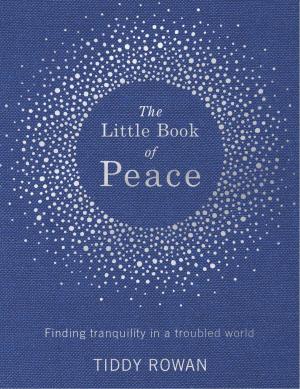 Cover of the book The Little Book of Peace by Nina Bell