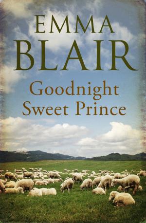 Cover of the book Goodnight, Sweet Prince by Winifred Holtby