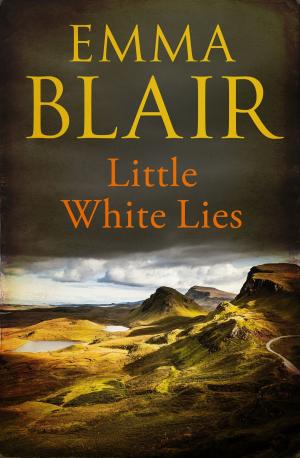 Cover of the book Little White Lies by David Yallop