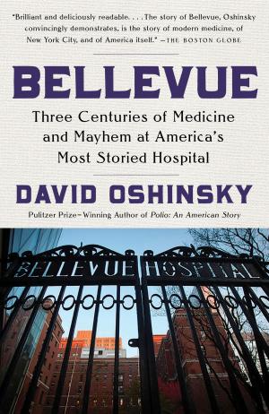 Cover of the book Bellevue by Masha Gessen