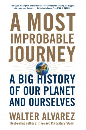 bigCover of the book A Most Improbable Journey: A Big History of Our Planet and Ourselves by 