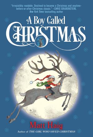 Cover of the book A Boy Called Christmas by Shelley Pearsall