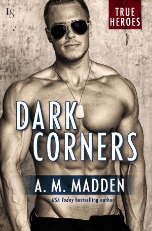 Cover of the book Dark Corners by Sidney Halston