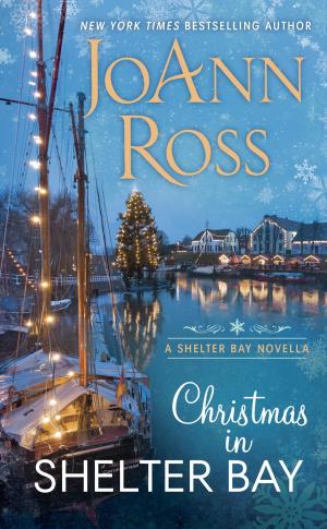 Cover of the book Christmas in Shelter Bay by J. L. Ryan