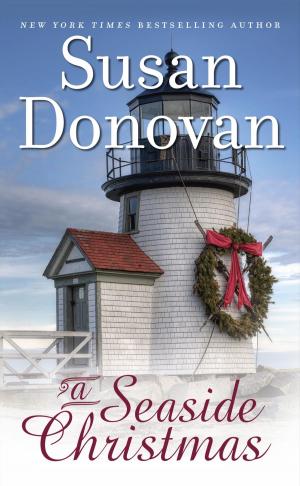 Cover of the book A Seaside Christmas by Siobhan Fallon