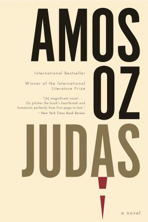 Cover of the book Judas by Lauren Baratz-Logsted
