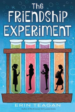 Cover of the book The Friendship Experiment by Emily Lael Aumiller