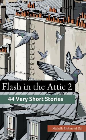Cover of the book Flash in the Attic 2 by Café Three Zero Publications