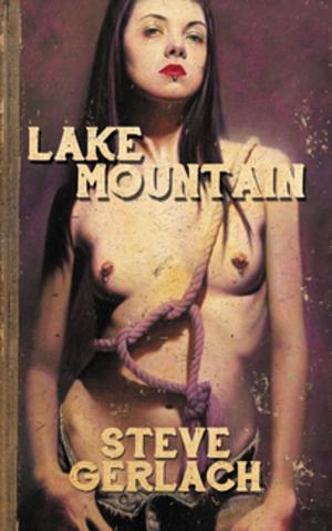 Book cover of LAKE MOUNTAIN