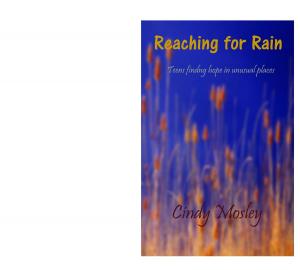 Book cover of Reaching for Rain