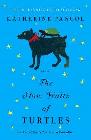 Cover of the book The Slow Waltz of Turtles by Michael Brandman
