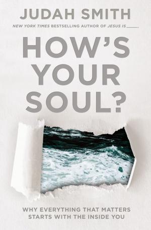 Cover of the book How's Your Soul? by Ted Dekker, Kaci Hill