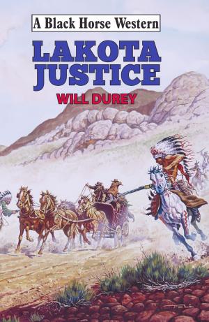 Book cover of Lakotah Justice