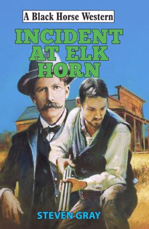 Cover of the book Incident at Elk Horn by Jack Sheriff