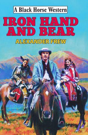 Cover of the book Iron Hand and Bear by Abe Dancer