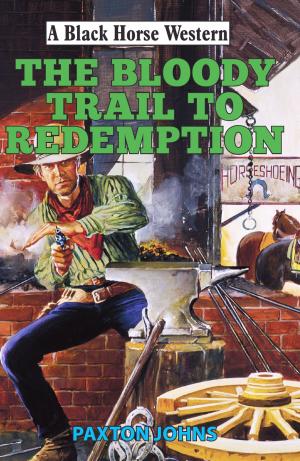 Cover of the book Bloody Trail to Redemption by Colin Bainbridge
