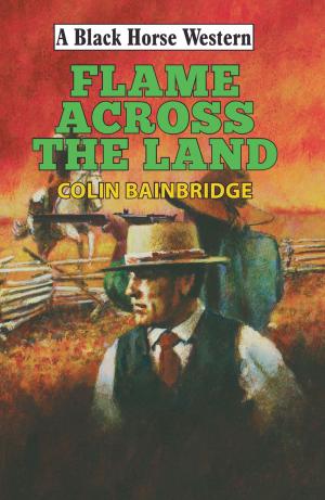 Cover of the book Flame Across the Land by Corba Sunman