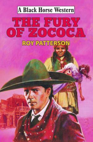 Cover of the book Fury of Zococa by Colin Bainbridge