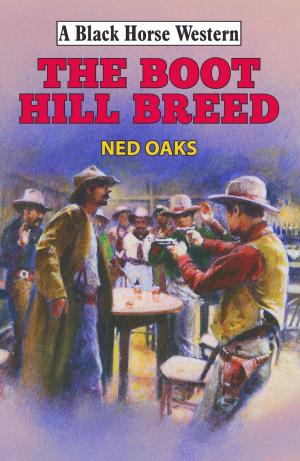 Cover of the book The Boot Hill Breed by Rory Black
