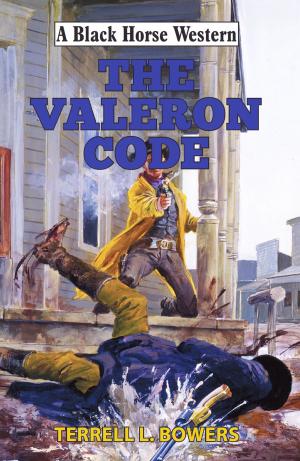 Cover of the book The Valeron Code by Will DuRey