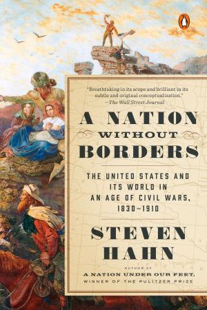 Book cover of A Nation Without Borders