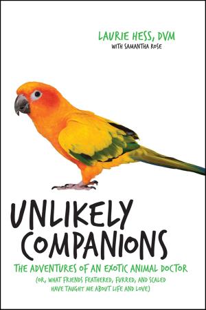 Cover of the book Unlikely Companions by Cassandra King