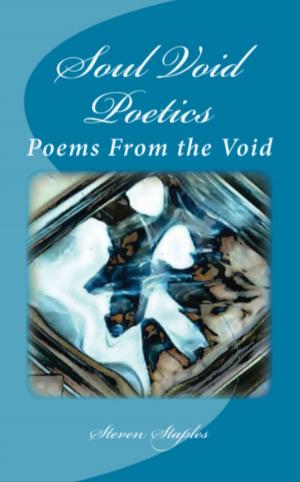 Cover of the book Soul Void Poetics: Poems From the Void by Betty Sullivan La Pierre