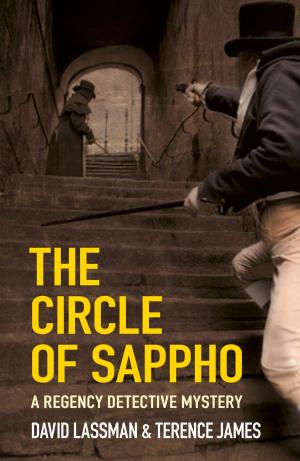Cover of the book Circle of Sappho by Andrew Rawson