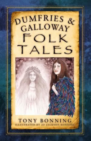 Cover of the book Dumfries & Galloway Folk Tales by Alan Hall