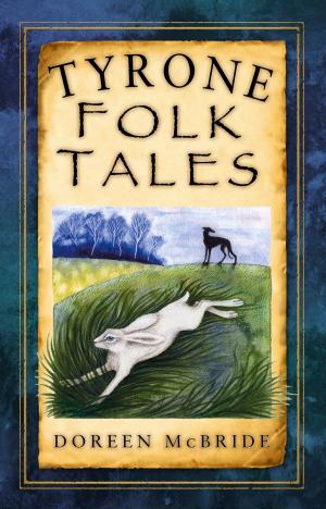 Cover of the book Tyrone Folk Tales by Sean McGlynn
