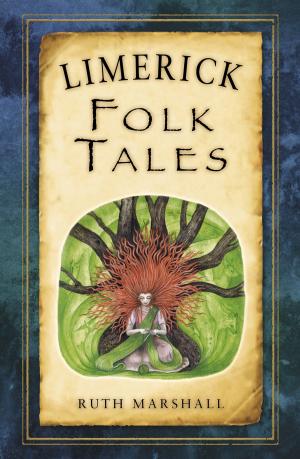 Cover of the book Limerick Folk Tales by Mike Morgan, Major General David Lloyd Owen