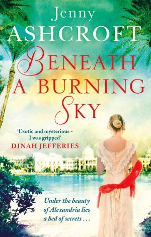 Book cover of Beneath a Burning Sky