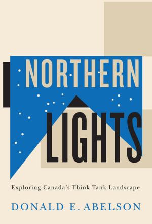 Cover of the book Northern Lights by Andrew James