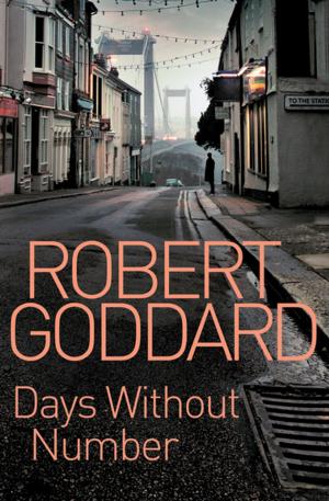 Cover of the book Days Without Number by Martin Solares
