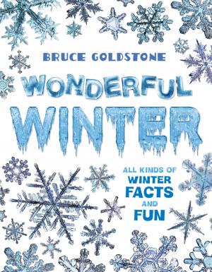 Cover of the book Wonderful Winter by Chalmers Johnson
