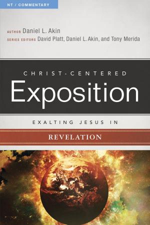 Cover of the book Exalting Jesus in Revelation by Angie Smith